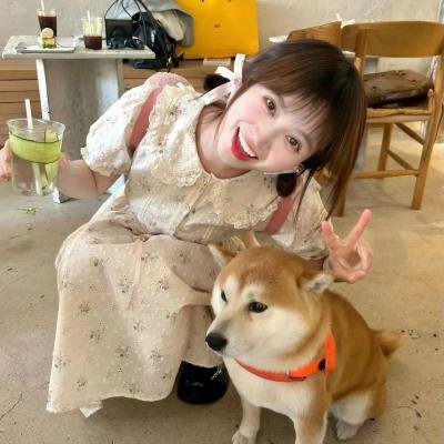 玩偶杀手 海报